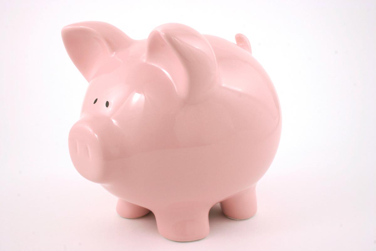 Piggy-Bank-Money