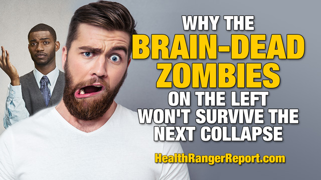 Why-the-Brain-Dead-Zombies-on-the-Left-Wont-Survive-the-Next-Collapse