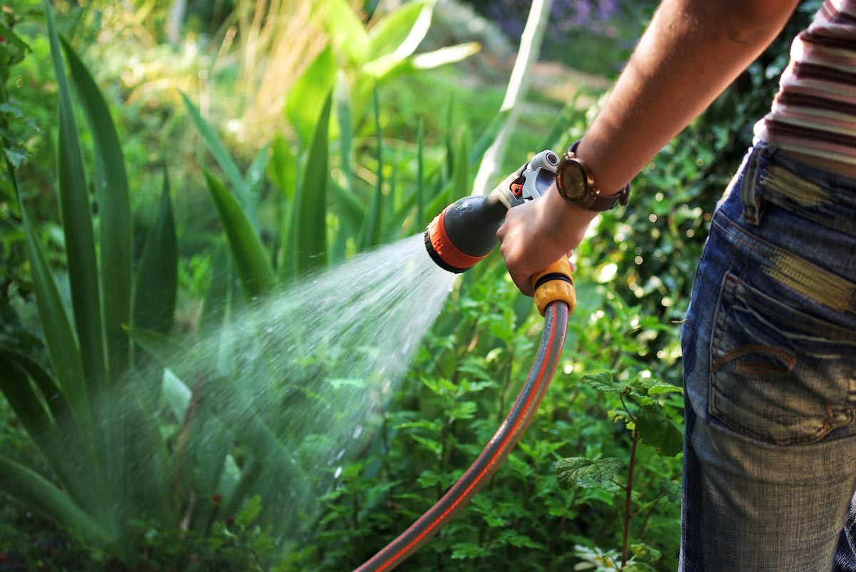 Woman-Spray-Garden-Hose-Water