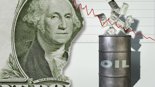 Oil-Drum-Dollars