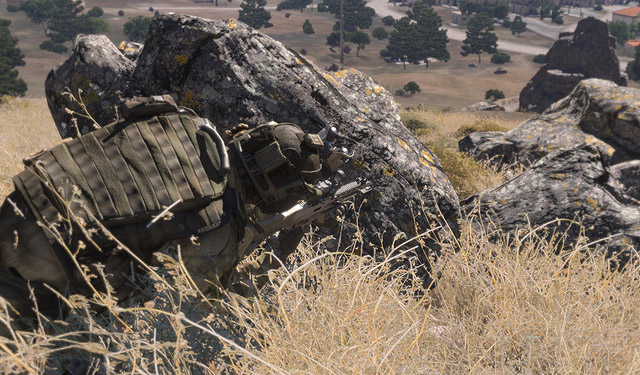 cover-concealment-observe