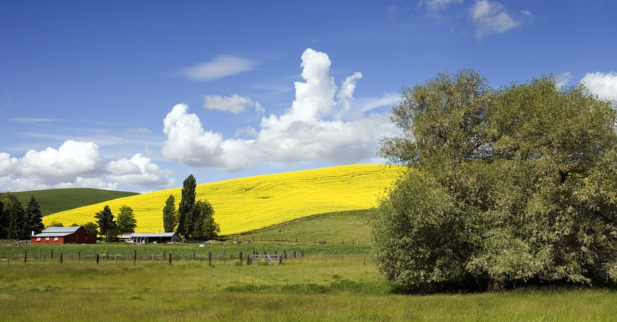 farm