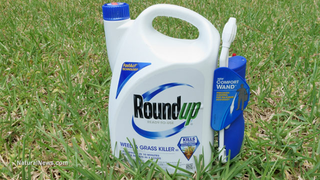 Crops doused with cancer-causing herbicide wrecking human health