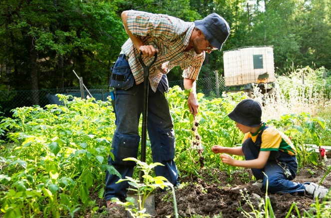 HomeSteading