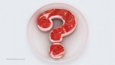 GMO-Question-Plate-Meat-Symbol