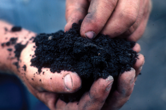 soil