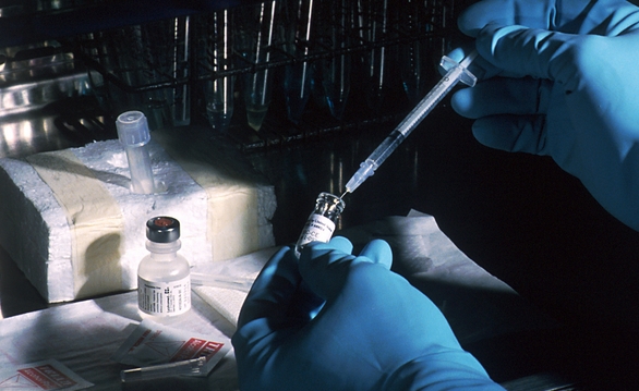 vaccine