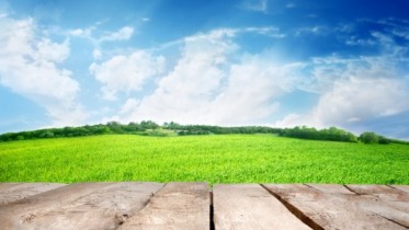 Fresh spring meadow, blue sky and wooden floor