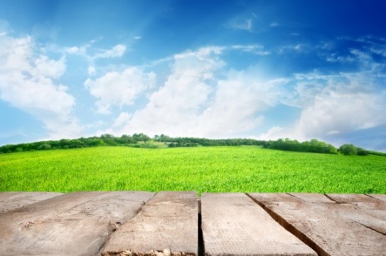 Fresh spring meadow, blue sky and wooden floor