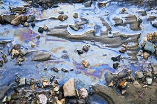 water with different colored patches of gasoline and oil