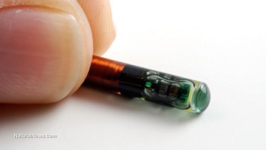 Small-Microchip-Tracking-Device-Antenna