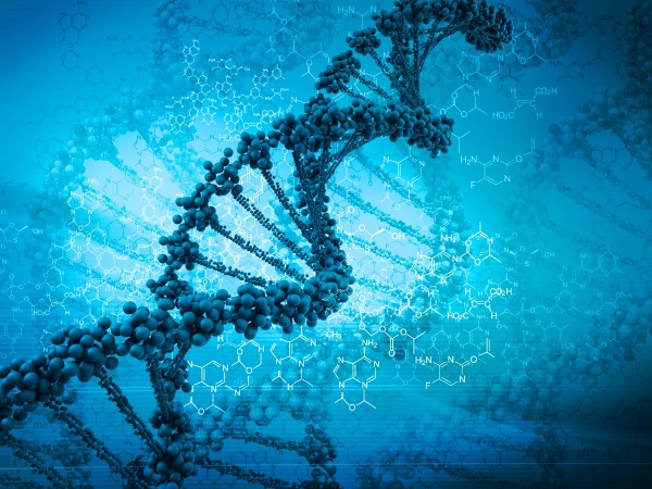 Dna-2