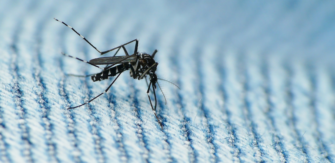 zika