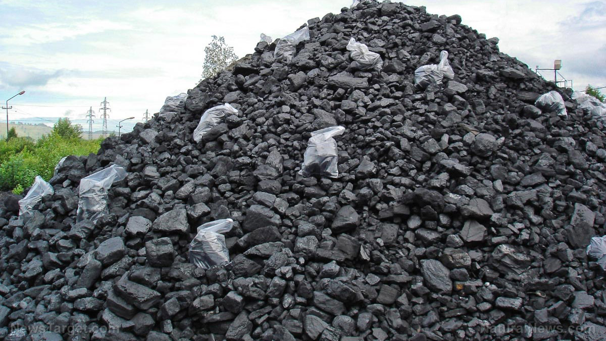 Уголь в междуреченске. Штабель каменного угля. Штабель угля. Coal as a Fossil fuel. Куча угля с табличкой продается